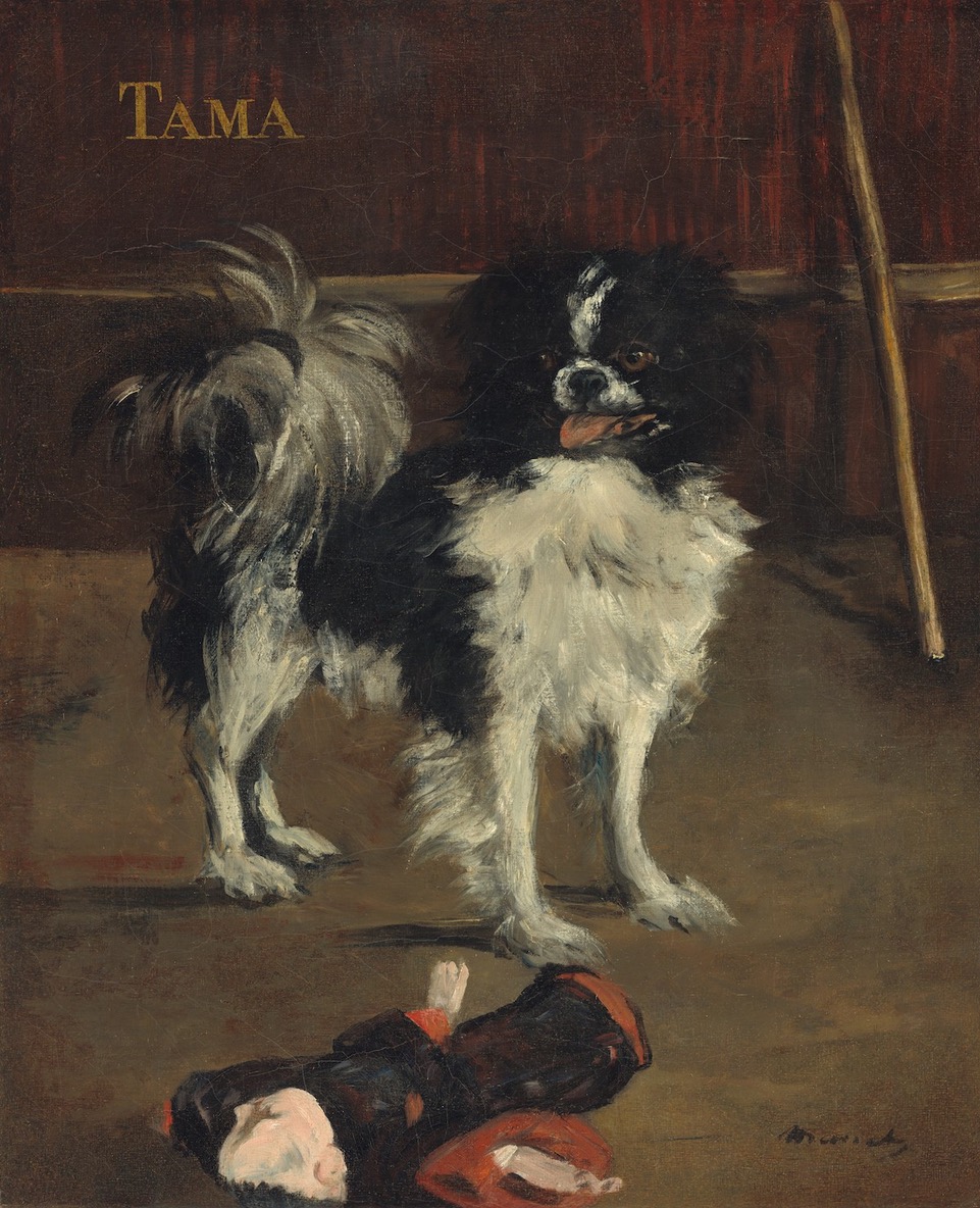 manet-tama-the-japanese-dog-nga1995.47.12.jpeg