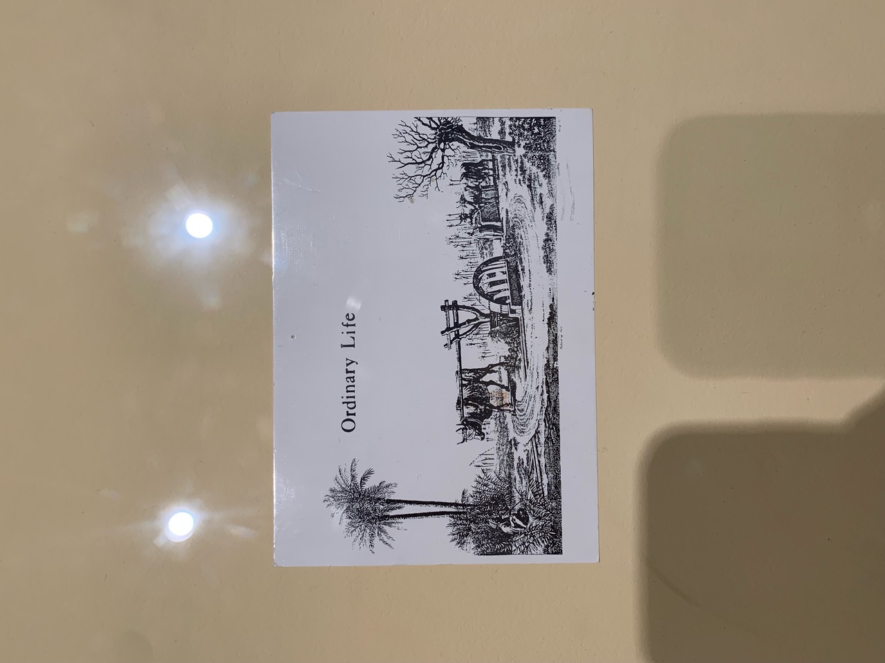 IMG_8876.jpeg
