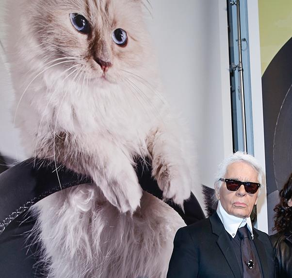 karl-lagerfeld-choupette.jpg