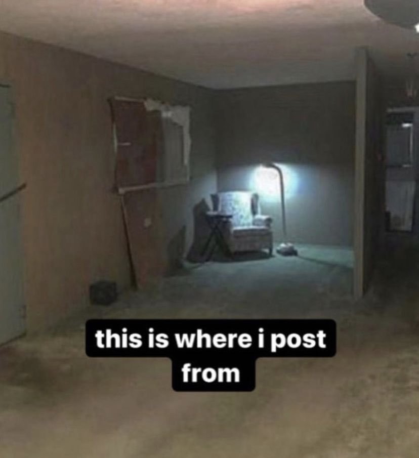 VjDf3B6t.jpg-medium.jpeg