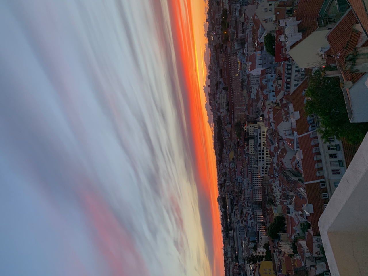 IMG_8973.jpeg