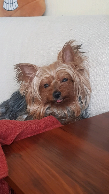 1605257219.jpeg
