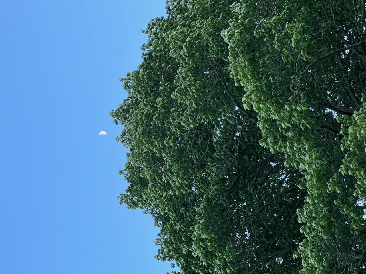 IMG_3267+2.jpeg