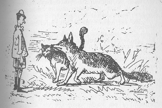 Gatto_e_volpe.jpg