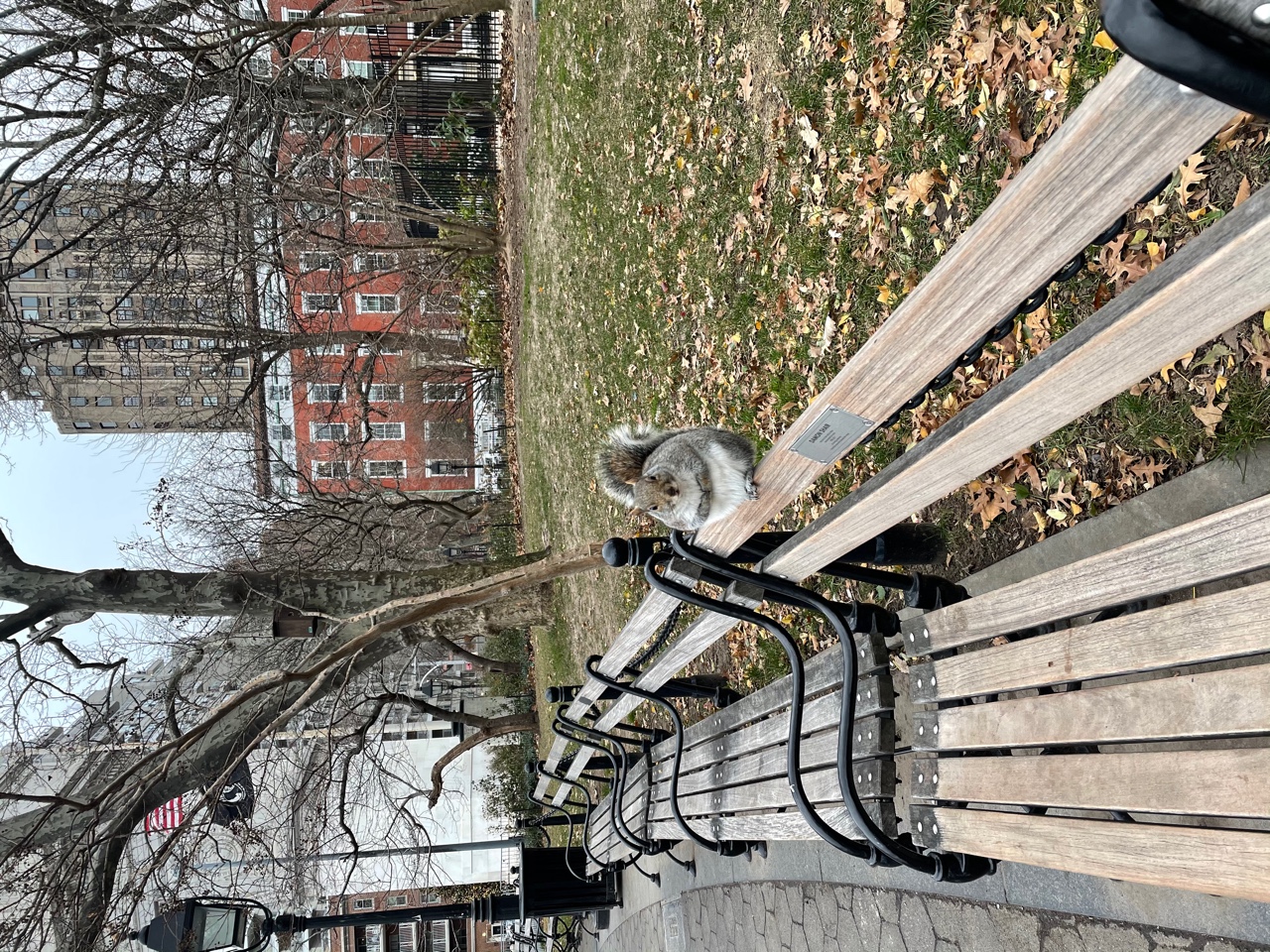 IMG_0122.jpeg