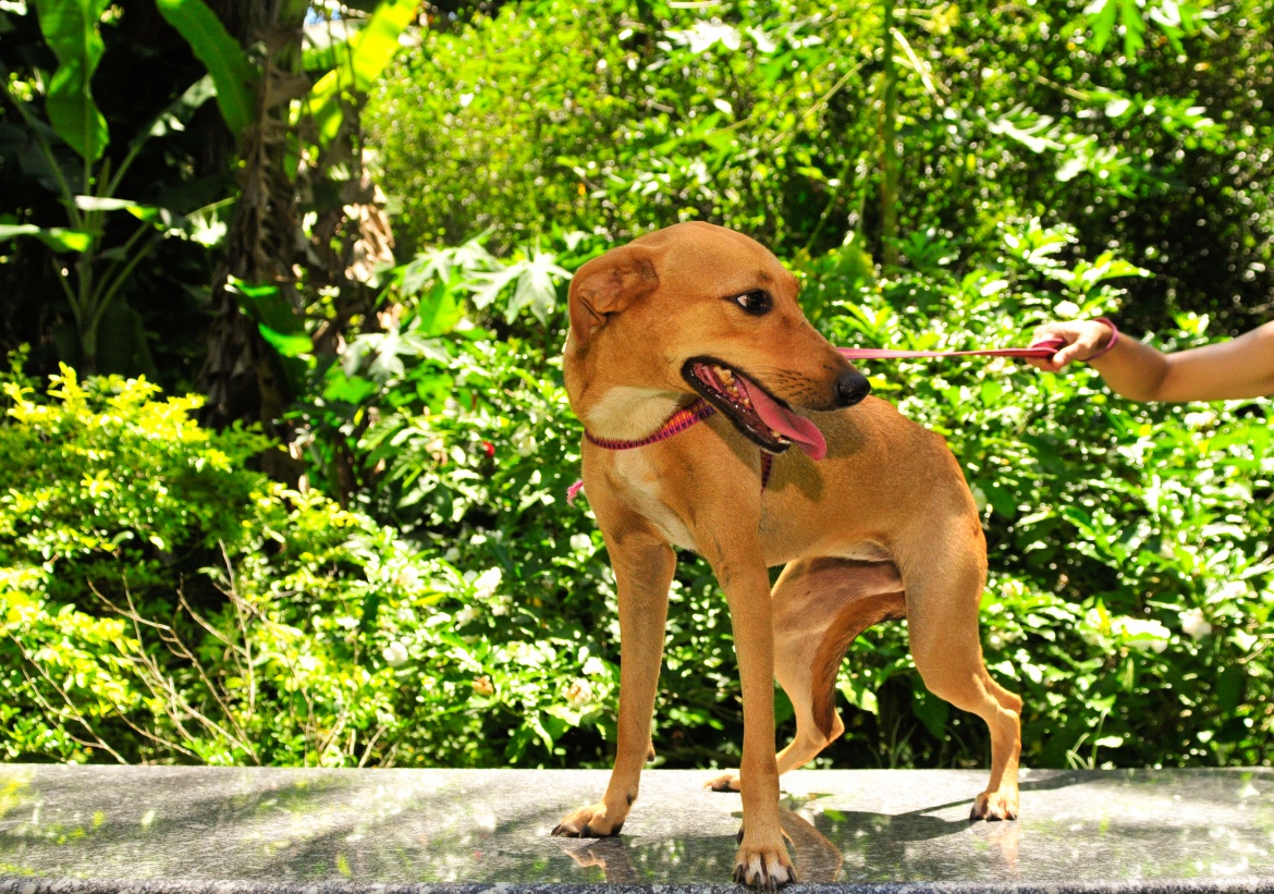 Rita-1-1170x821.jpg