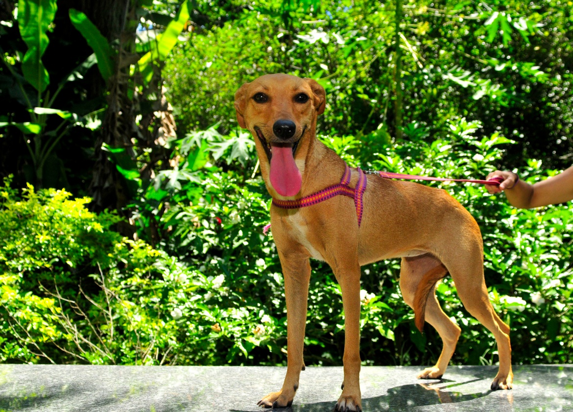 Rita-4-1170x841.jpg