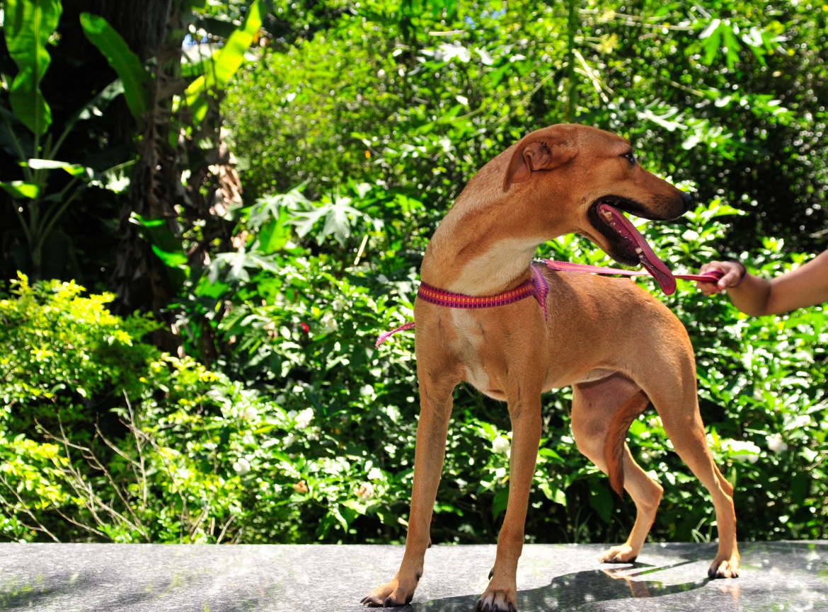Rita-5-1170x865.jpg